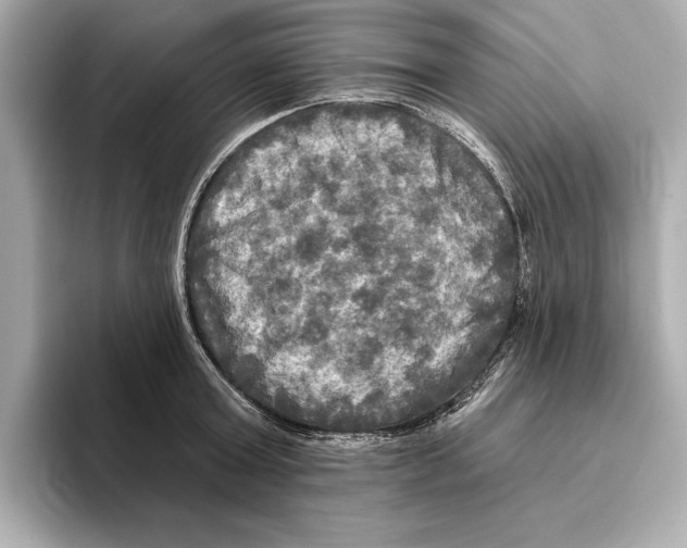 X0000095680803200802051250