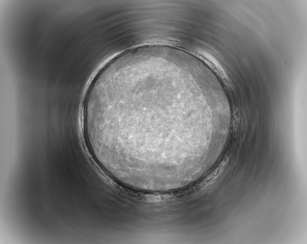 X0000095680804200802051250