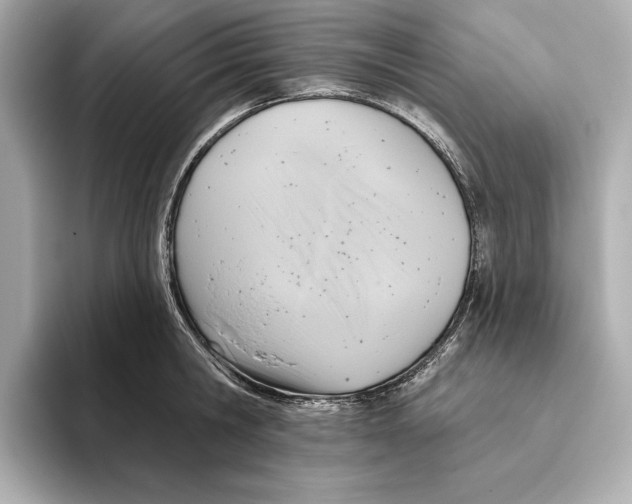 X0000095680806200802051250