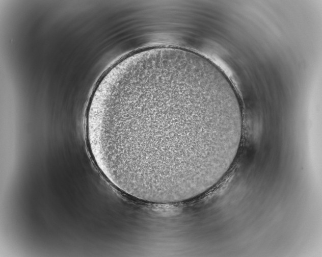 X0000095680807200802051250