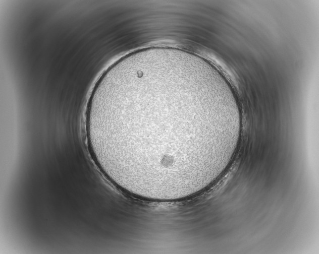 X0000095680808200802051250