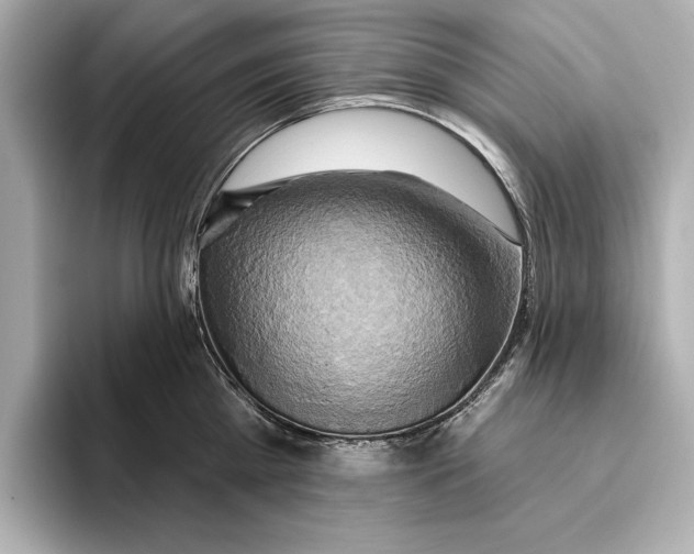 X0000095680809200802051250