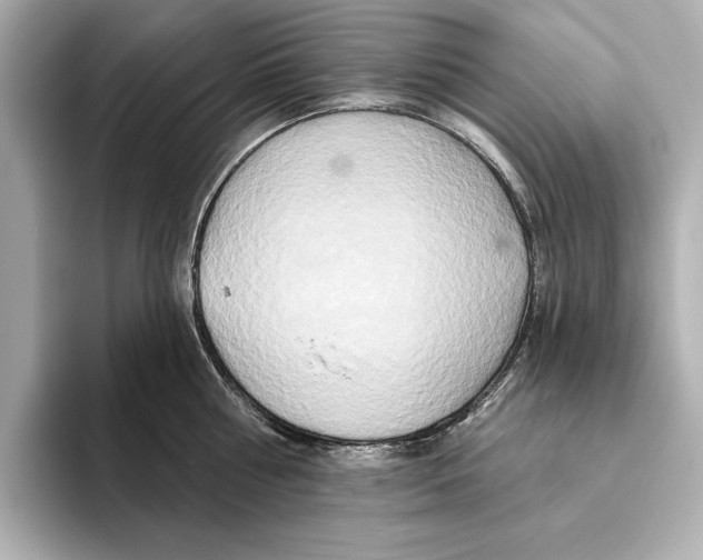 X0000095680810200802051250