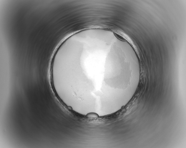 X0000095680811200802051250