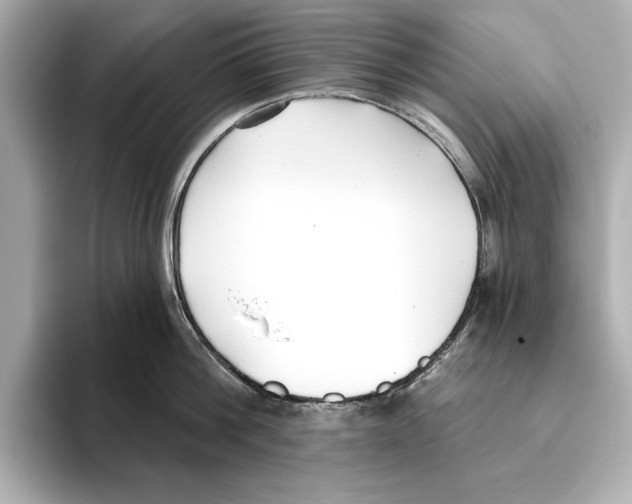 X0000095680812200802051250