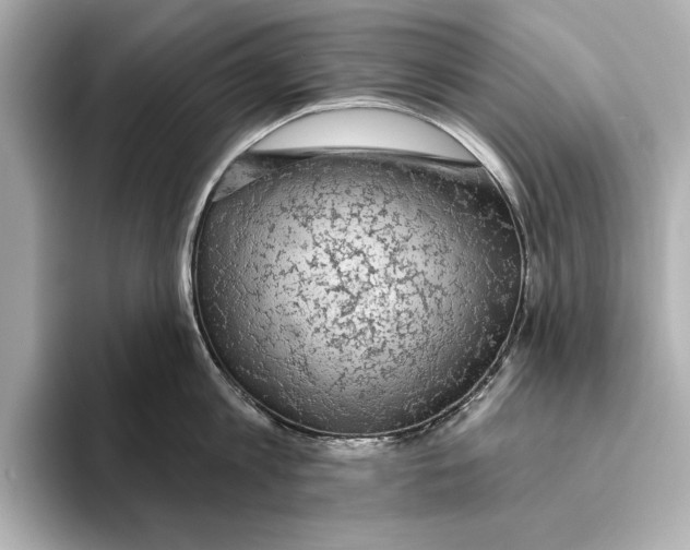 X0000095680813200802051250