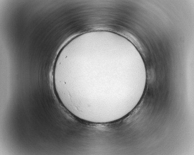 X0000095680814200802051250