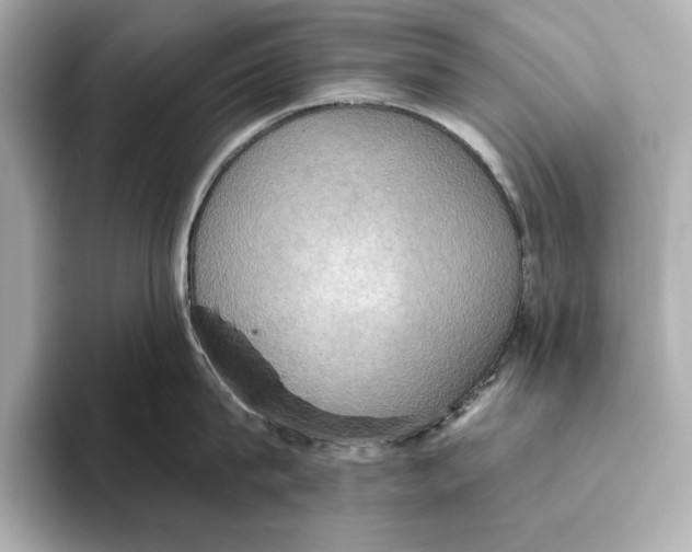 X0000095680815200802051250