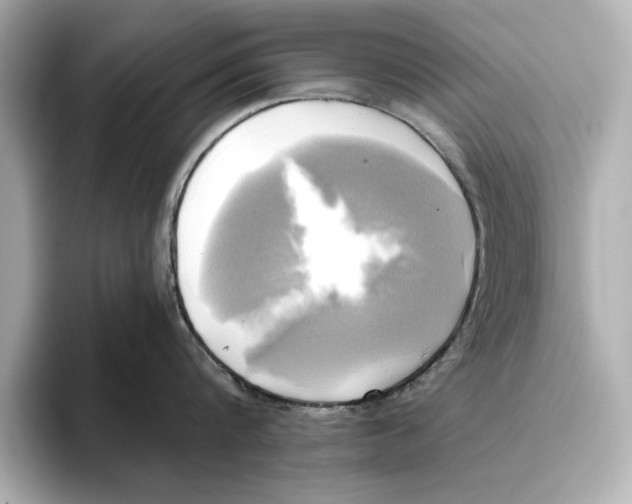 X0000095680816200802051250