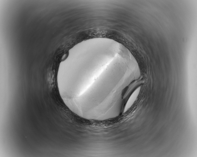 X0000095680818200802051249