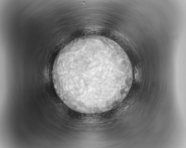 X0000095680819200802051249