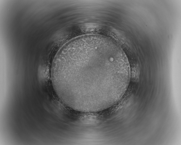 X0000095680820200802051249