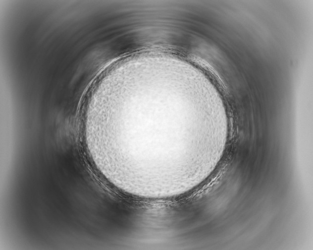 X0000095680828200802051249