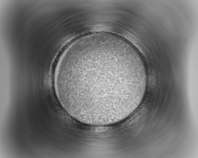 X0000095680832200802051249