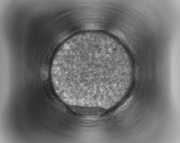 X0000095680833200802051249