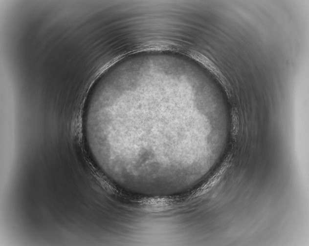 X0000095680834200802051249