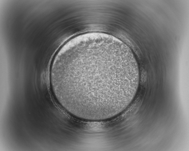 X0000095680836200802051249