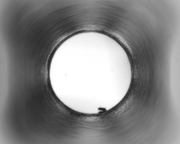 X0000095680837200802051249