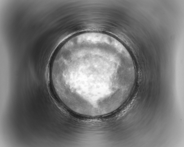 X0000095680838200802051249