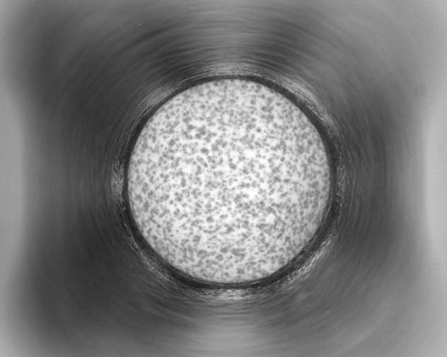 X0000095680841200802051249