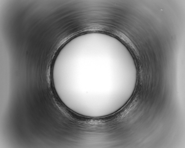 X0000095680842200802051249