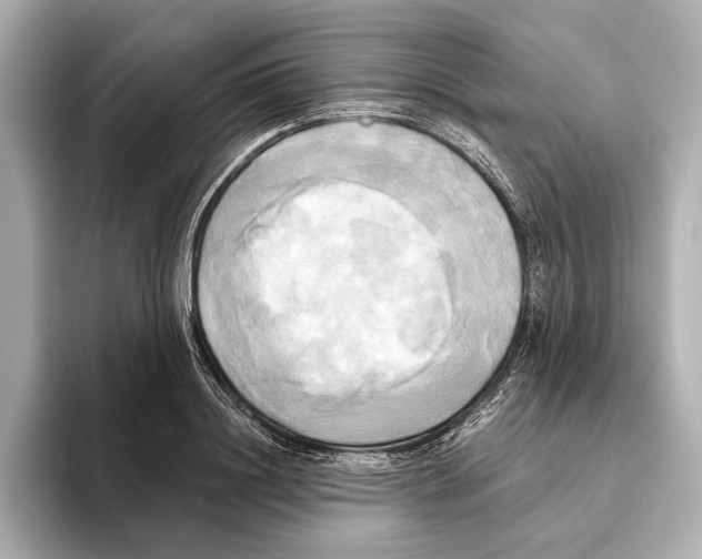 X0000095680844200802051249