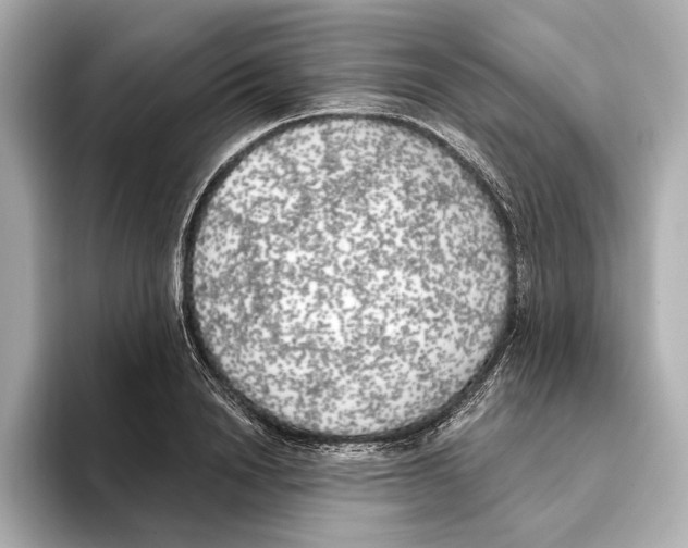 X0000095680846200802051249