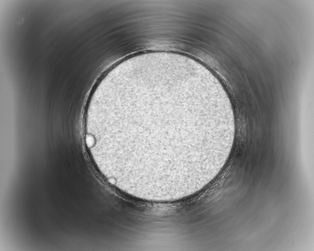 X0000095680848200802051249