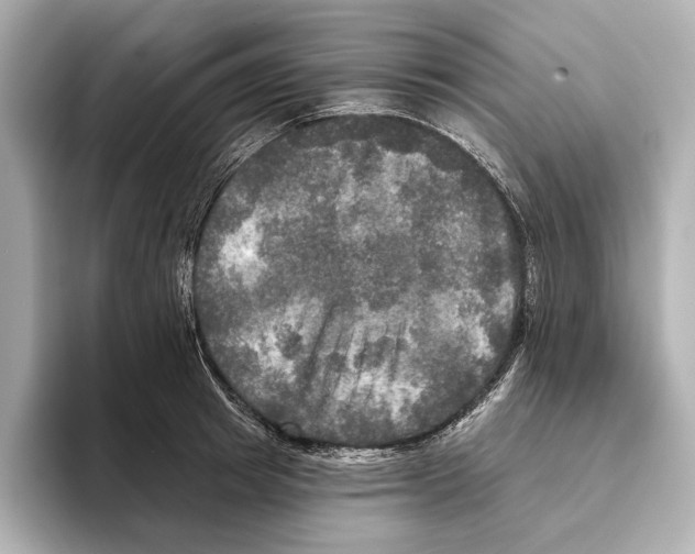 X0000095680849200802051249