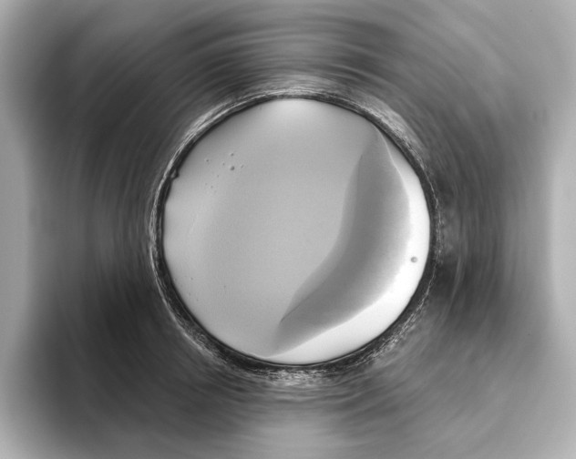 X0000095680850200802051249