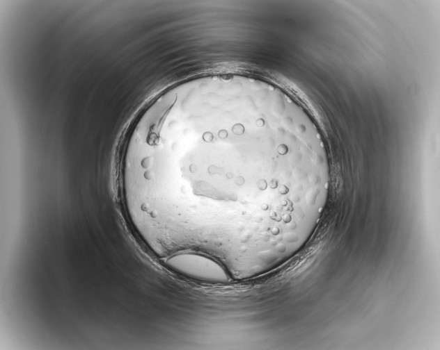 X0000095680851200802051249