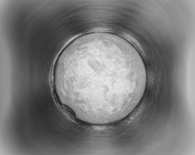 X0000095680852200802051249