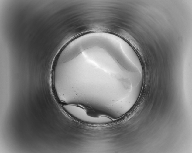 X0000095680853200802051249