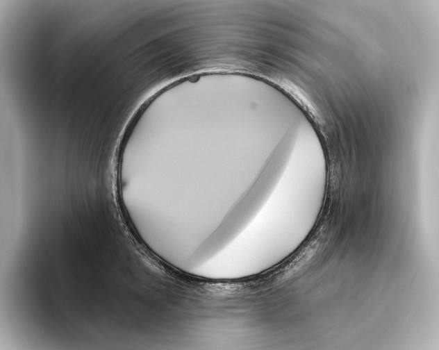 X0000095680854200802051249