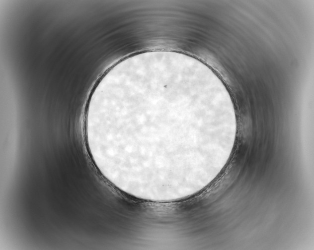 X0000095680856200802051249