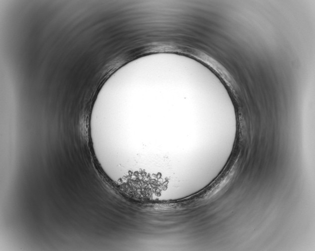 X0000095680857200802051249