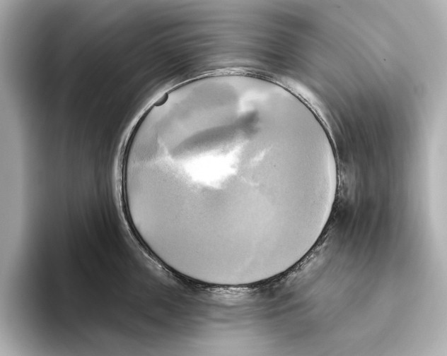 X0000095680859200802051249