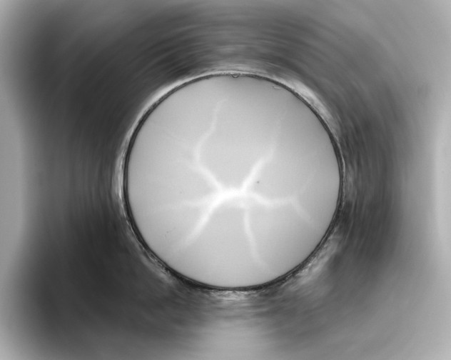 X0000095680862200802051249