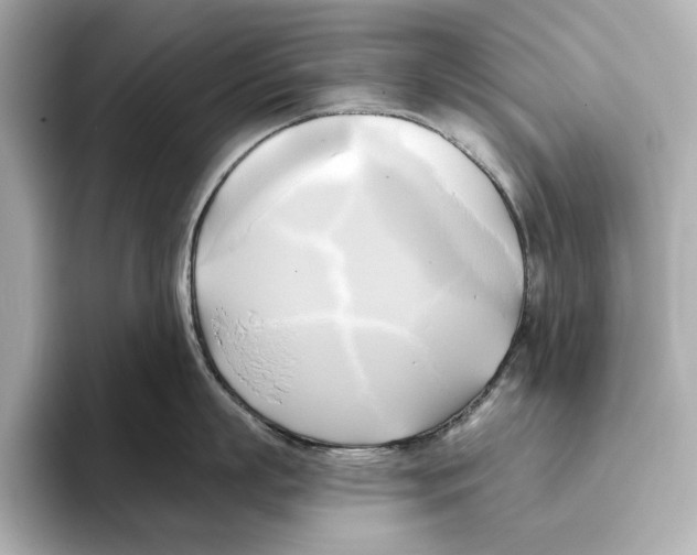 X0000095680863200802051250