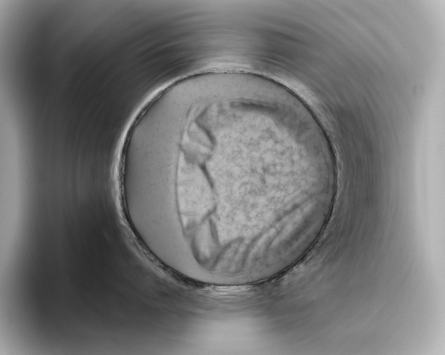 X0000095680864200802051250