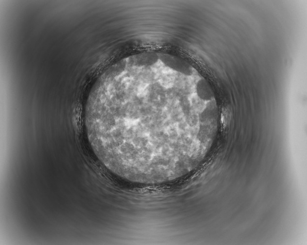 X0000095680867200802051249