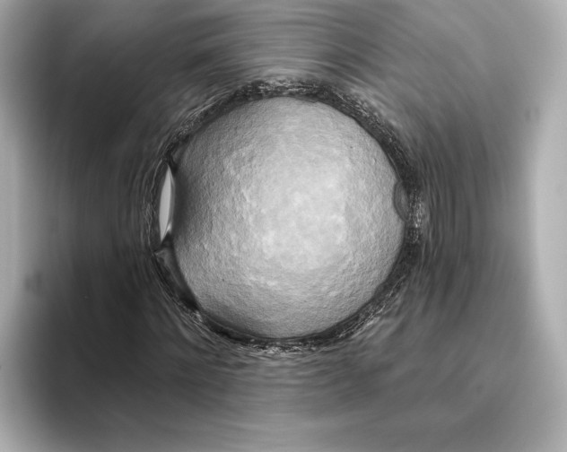 X0000095680868200802051249