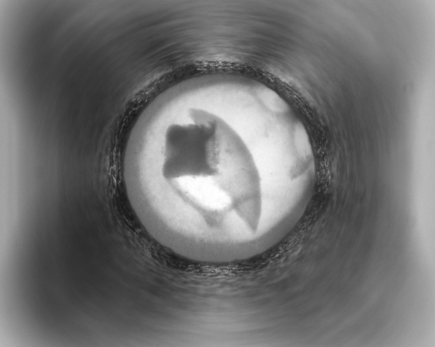 X0000095680870200802051249