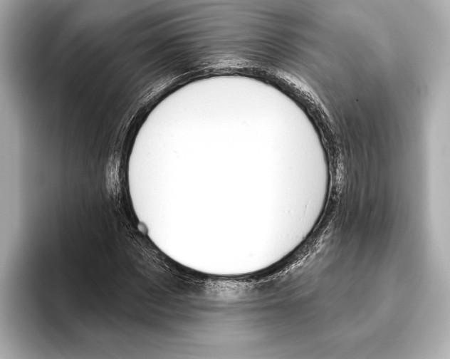 X0000095680873200802051249