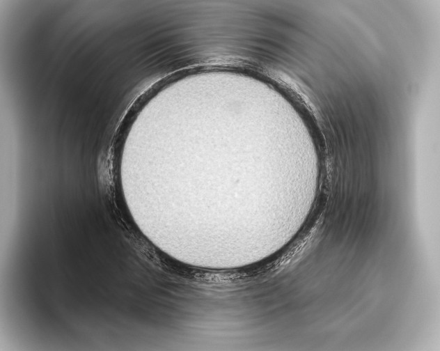 X0000095680875200802051249