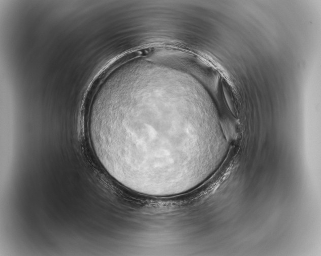 X0000095680877200802051249