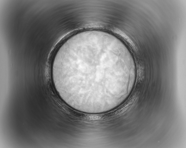 X0000095680878200802051249