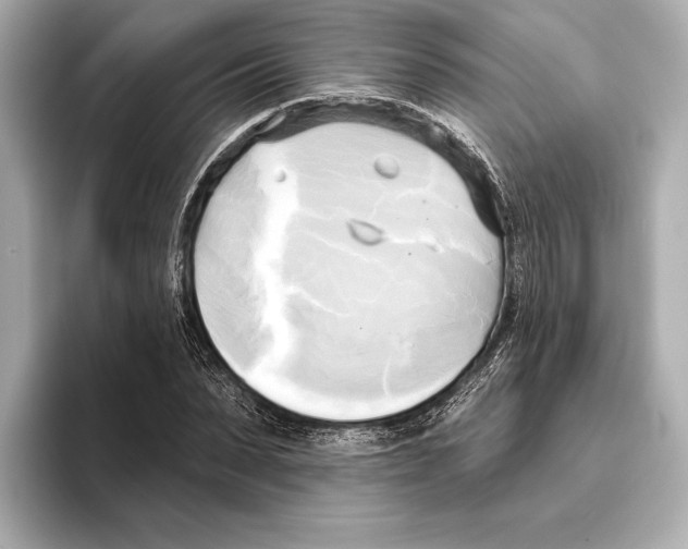 X0000095680879200802051249