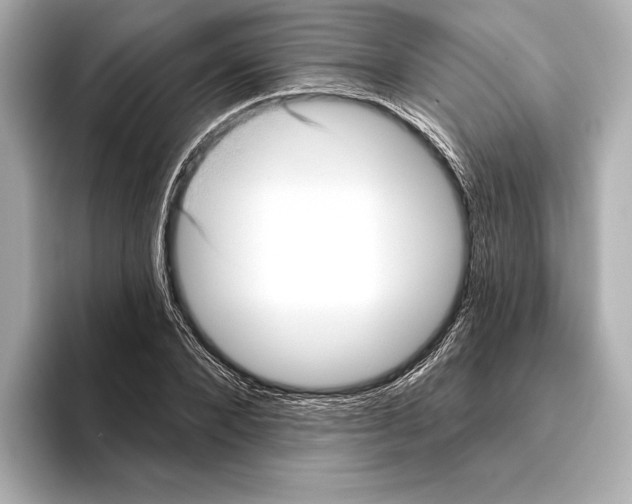 X0000095680880200802051249