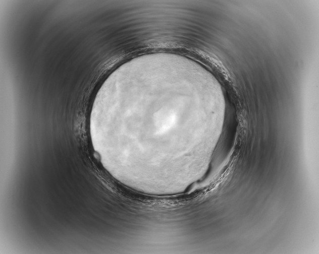 X0000095680881200802051249